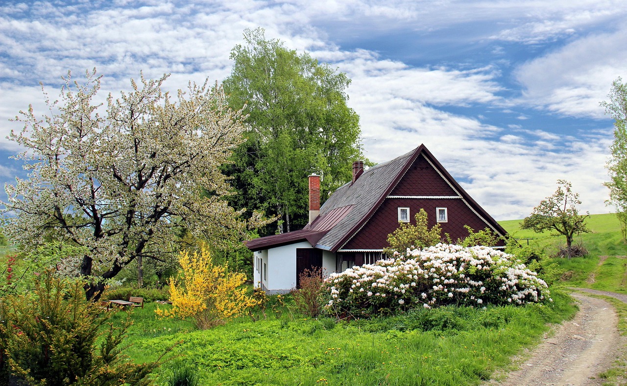 Cottagecore tuindecoratie: creëer een nostalgische zomertuin
