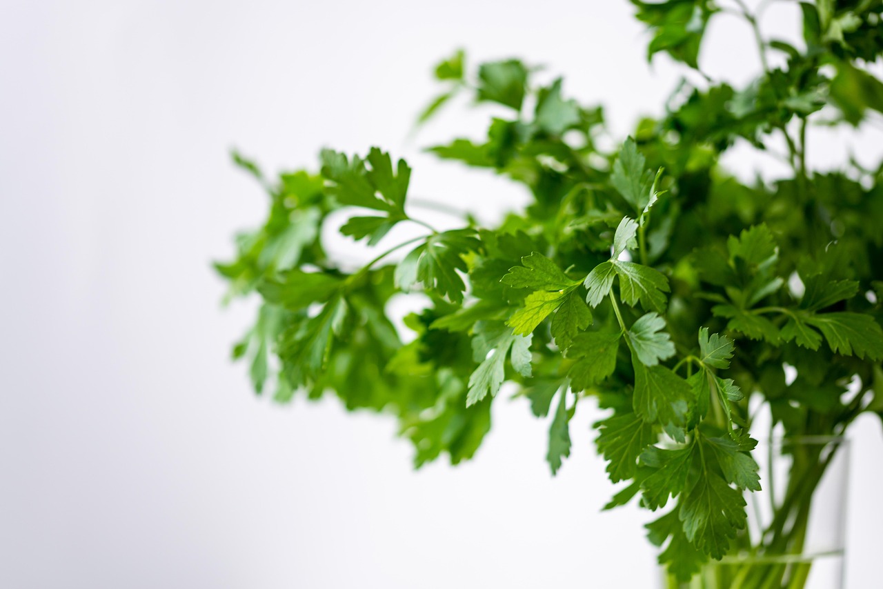 Verscheidenheid aan groene detox groenten en kruiden. Verscheidenheid aan groene detox groenten en kruiden.