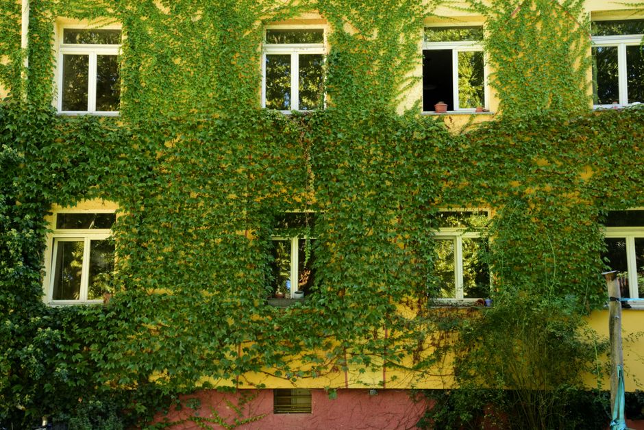 Nieuwe meubels geschilderd met eco-vriendelijke biolakverf