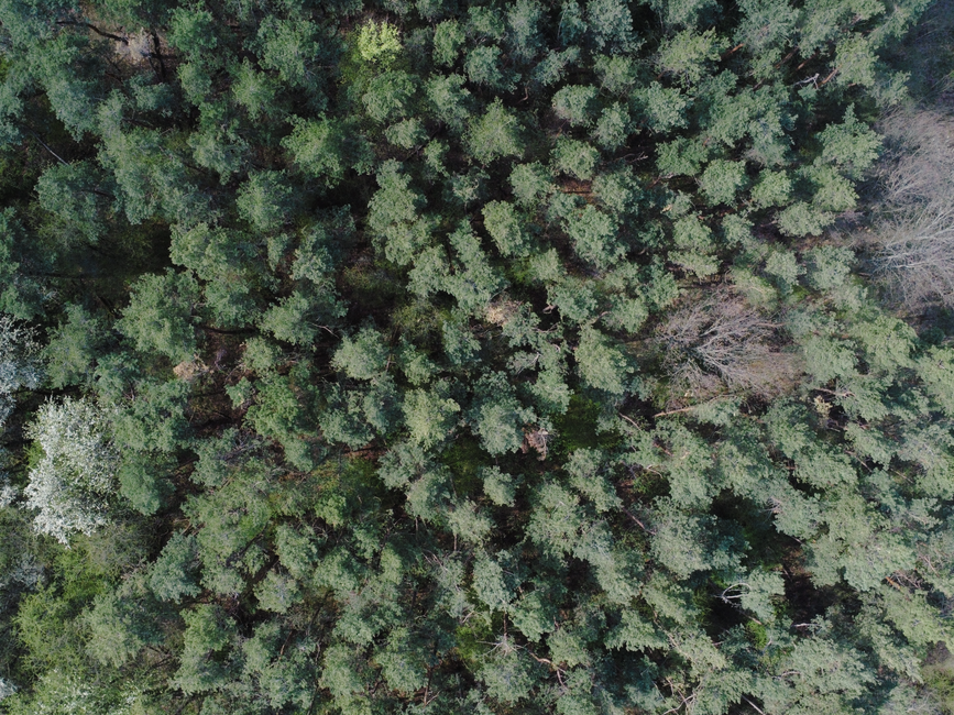 Verleidelijke drone-opnames van geometrische tuinstructuren. Verleidelijke drone-opnames van geometrische tuinstructuren.