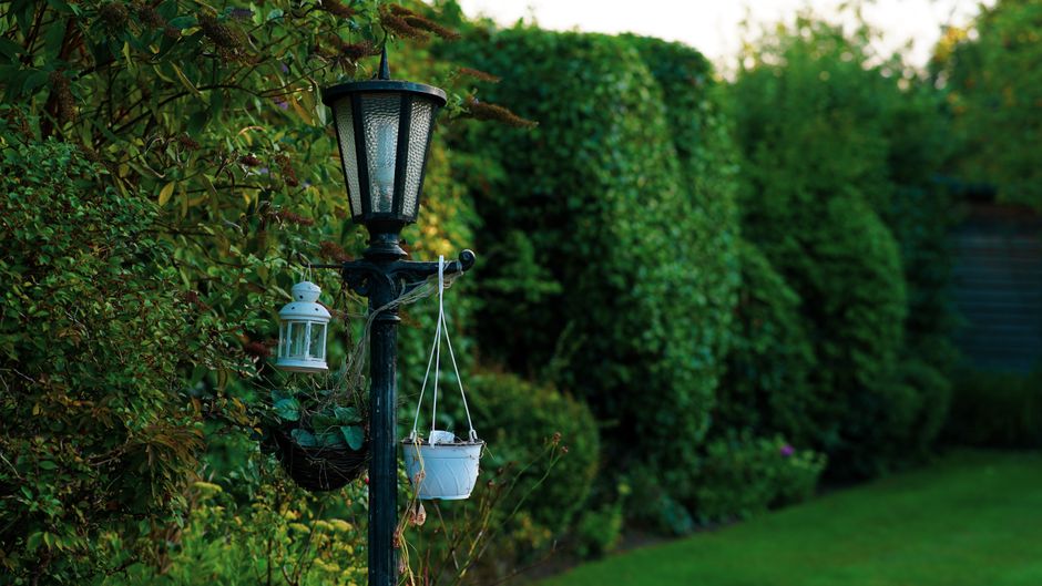 Zwoele zomeravonden: vleermuisvriendelijke tuinverlichting