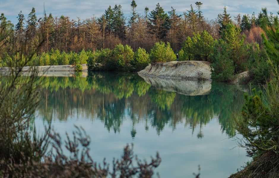Biologische zwemvijvers: natuurlijk zwemplezier in je achtertuin