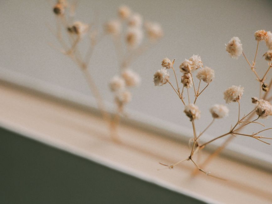 Langdurige bloemenpracht: de beste droogbloemen voor decoratie