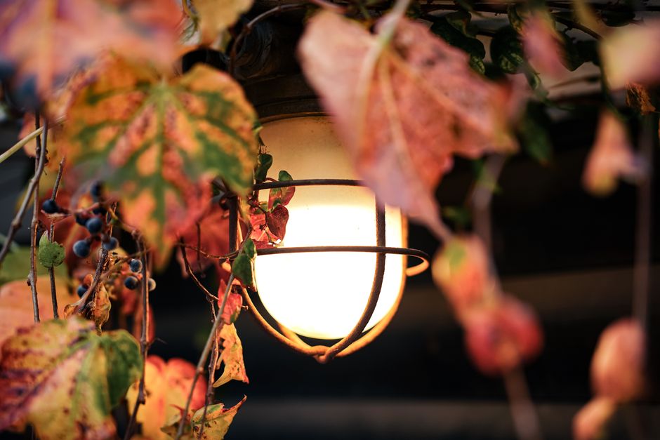 Verlichting trends voor herfst 2026: warmte en sfeer in één